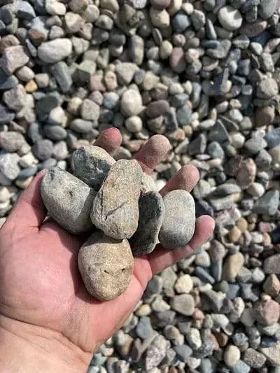 Hand holding various smooth river stones against a background of pebbled surface.