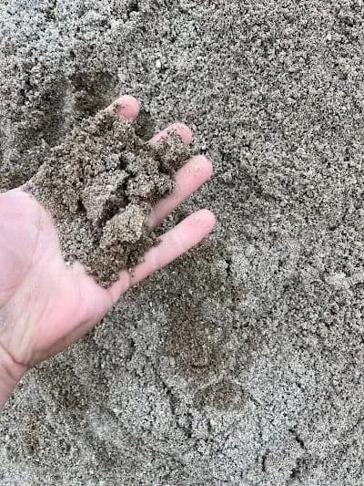 Close-up of a hand holding sand above a larger sand surface, showcasing texture and color.