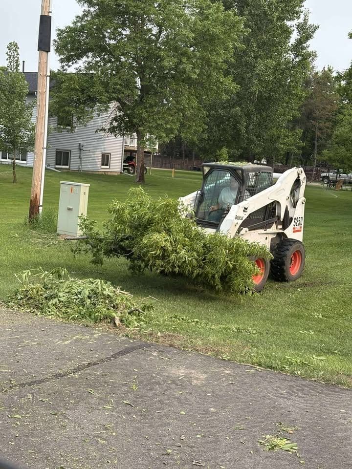 Bobcat skid steer clearing tree debris in a residential yard with tall green grass.
