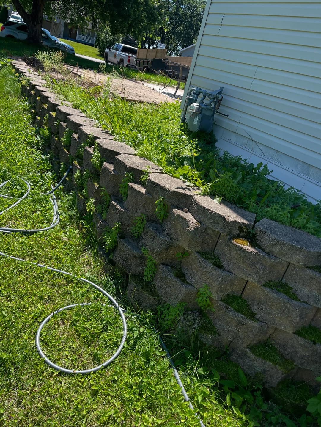 Overgrown landscaping with a stone wall and utility meters near a house.