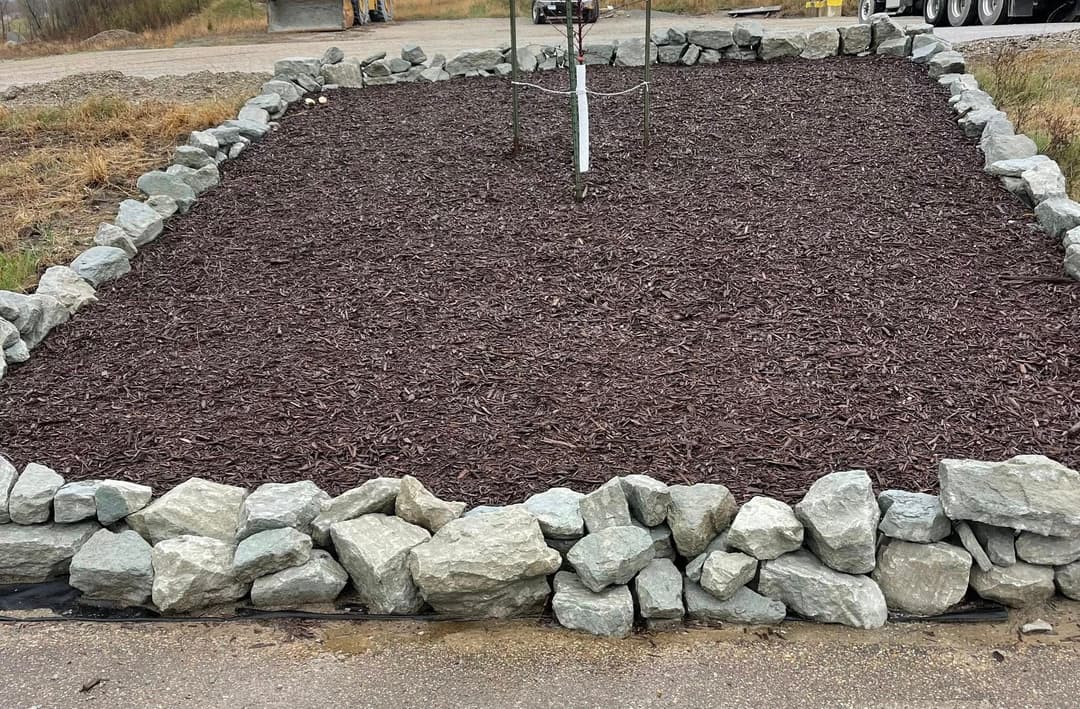 Freshly mulched garden bed with a stone border and a young tree in the center.