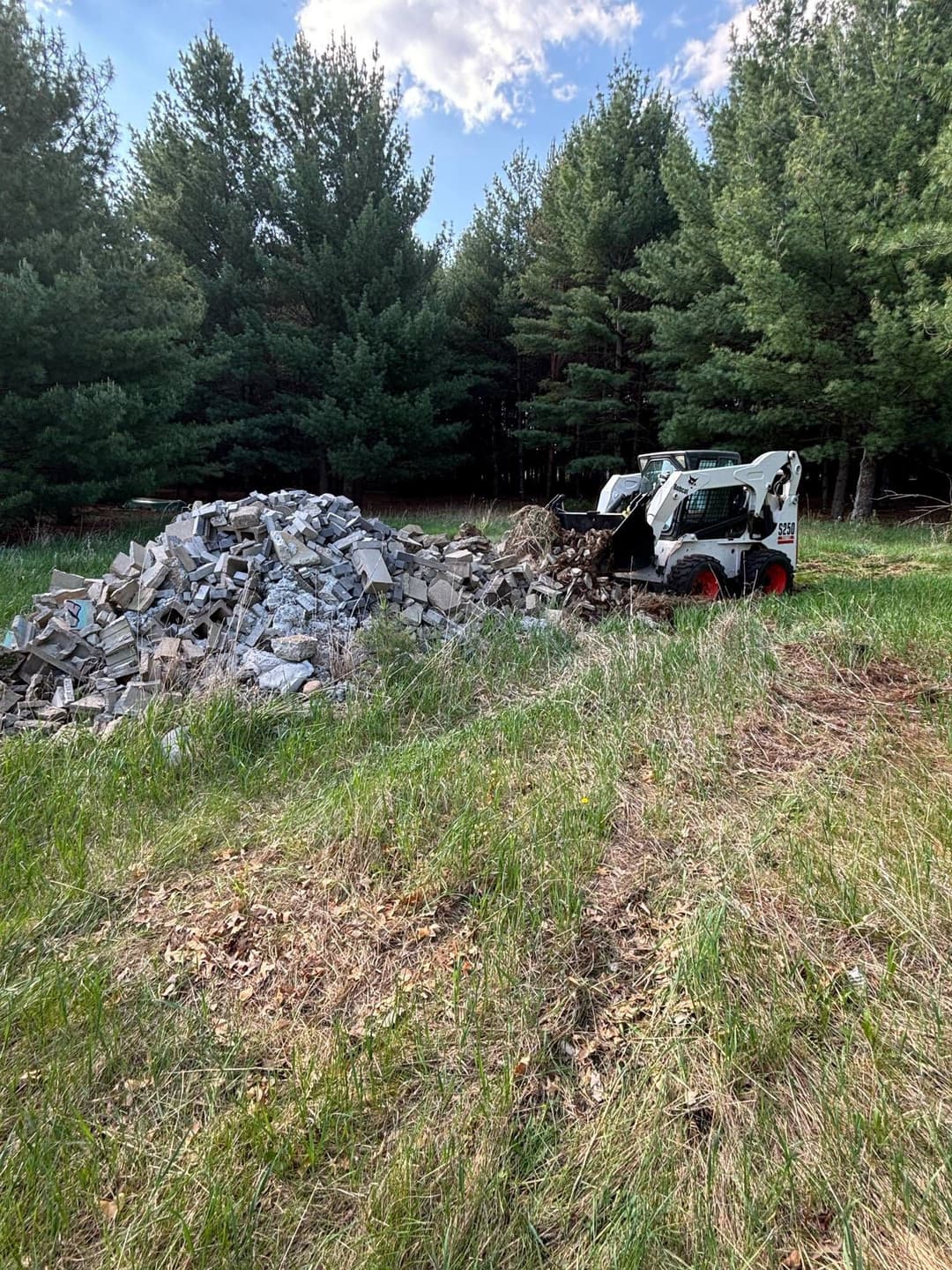 Bobcat machinery clearing debris from a grassy area near a dense forest.