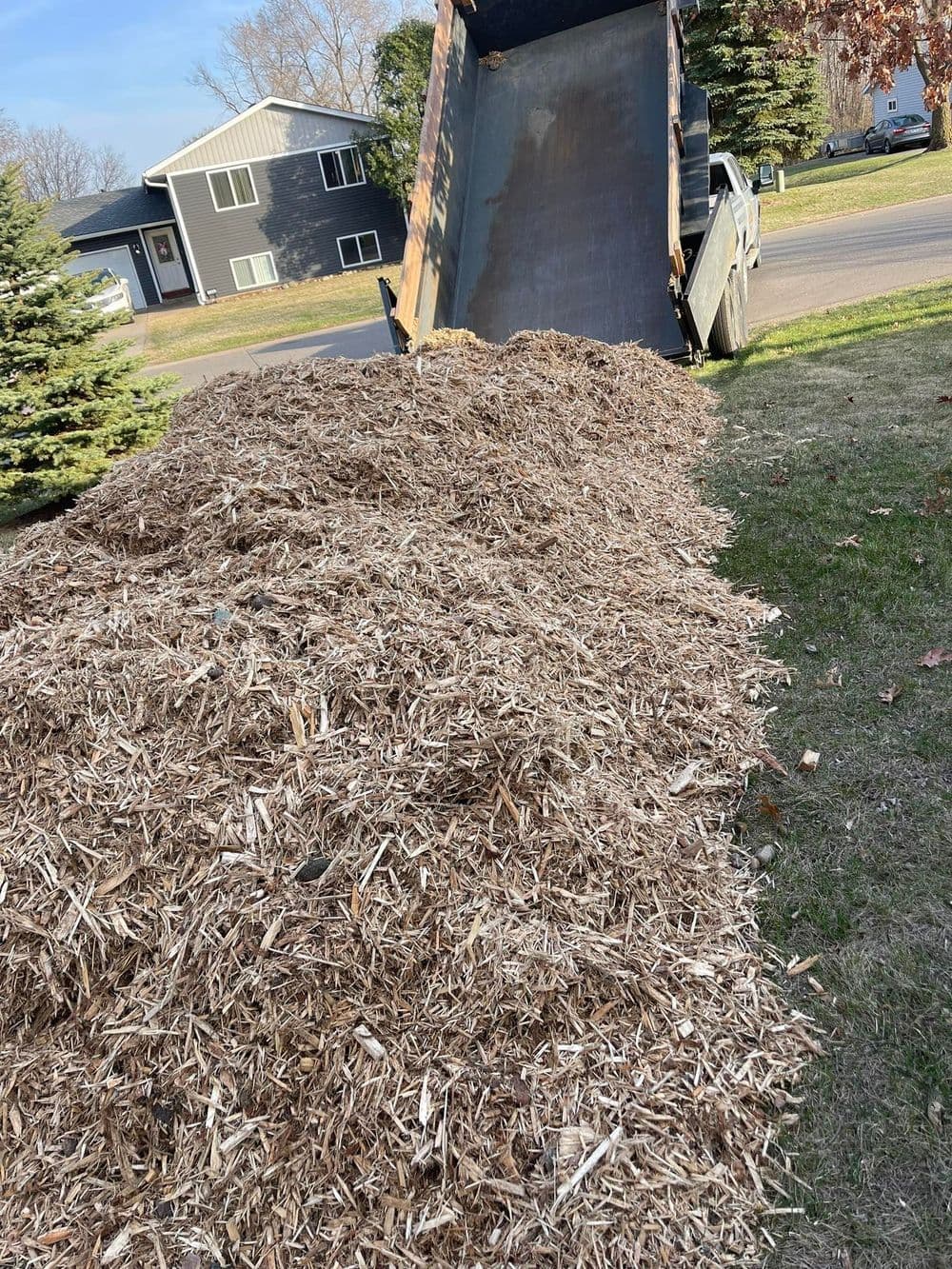 Dump truck unloading a large pile of wood mulch on a grassy area near a residential street.
